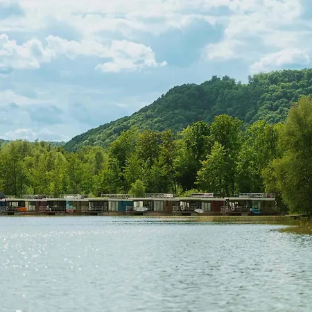 Floatinghouse Goldene Flunder - Lp8